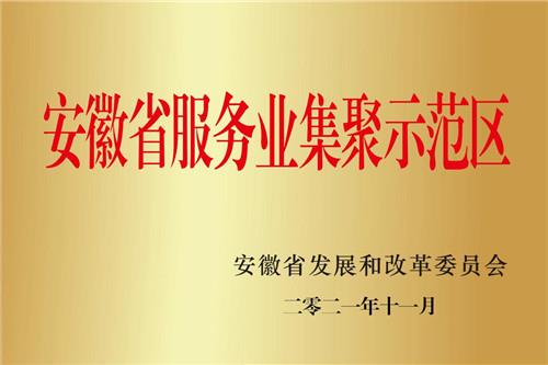 安徽省服务业集聚示范区